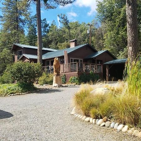 Uncle Grizz'S Cabin...Get Intouch With Nature Bass Lake Annex Kültér fotó